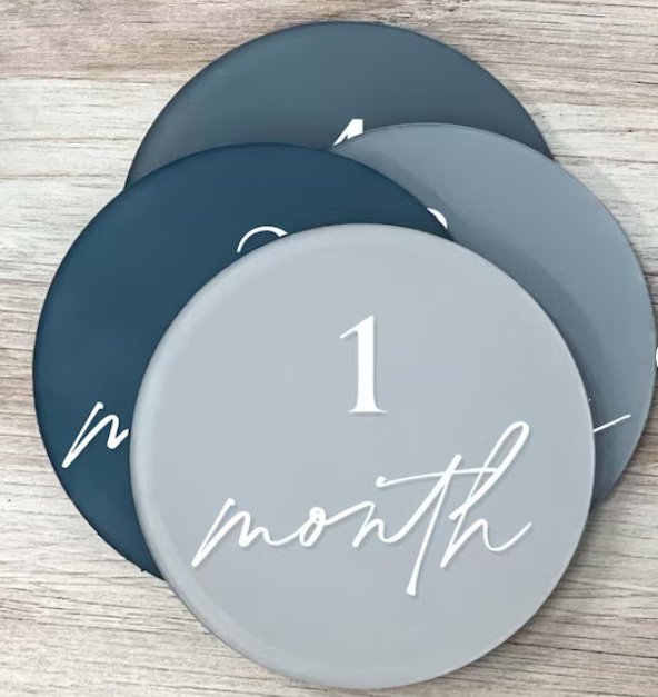 Baby Monthly Milestone Discs - Pixel Parrot Design