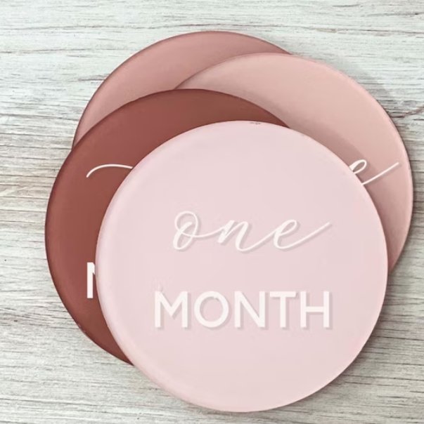 Baby Monthly Milestone Discs - Pixel Parrot Design